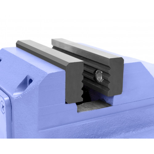 Тиски стан.чуг.     н/п 7200-0224-03 250 Гомель